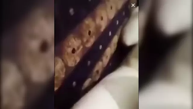 Zagatari bölgesinde amatör Azeri seks keyfi.